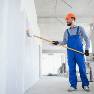 Building and Villa Painting Work